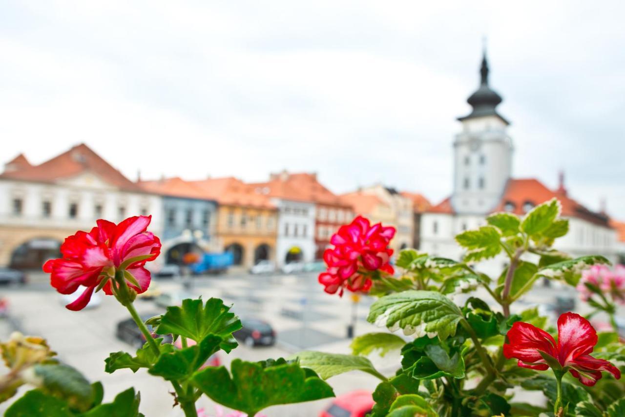 Hotel U Hada Zatec Exteriör bild